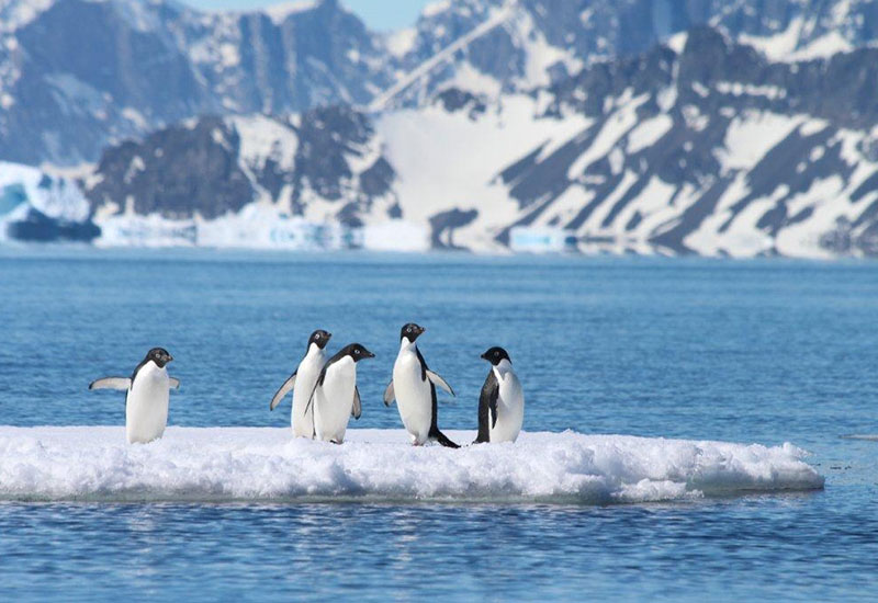 Antarctic Peninsula Expedition