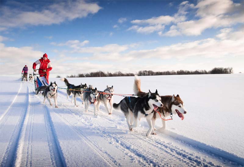 Norway Expedition Cruise